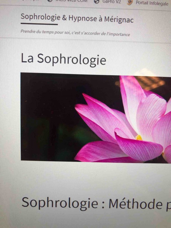 Phobie des araignées : quelles solutions pour faire face à Mérignac