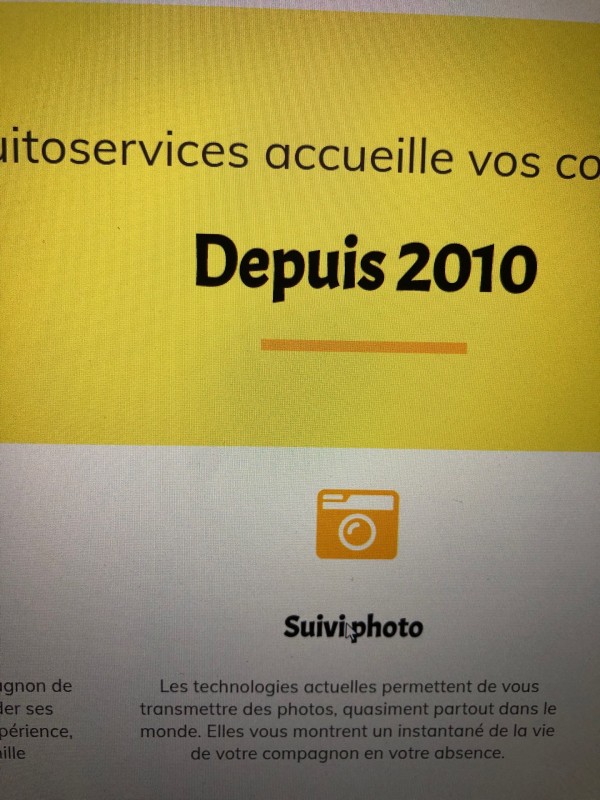 Trouver une pension pour chiens à Bordeaux