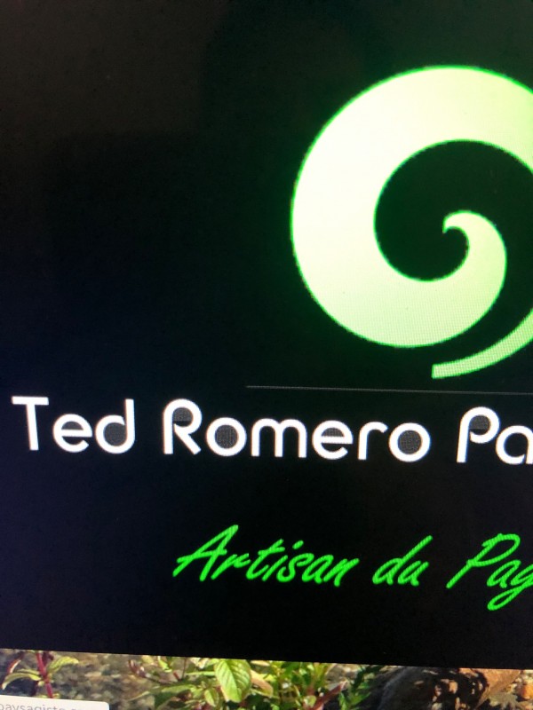 Trouver un paysagiste qualifié pour toiture végétale à Gradignan