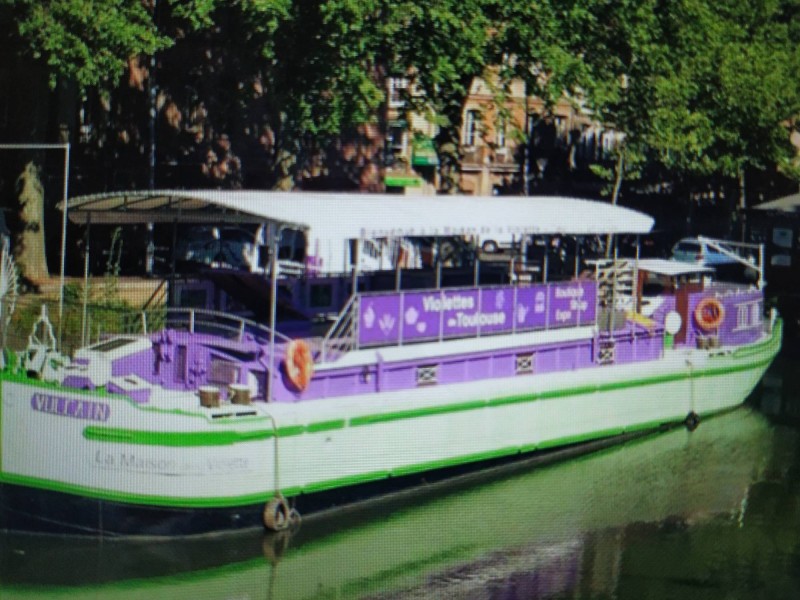 Acheter des bonbon à la violette traditionnelle dans une boutique artisanale à Toulouse