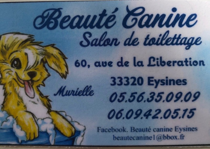  Où trouver un salon de toilettage pour chien à Eysines