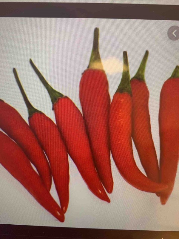 Produits basques pour épicerie fine à Mérignac Mérignac Hasiera Berria