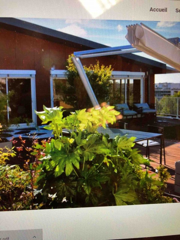 Conception et réalisation d’un jardin sur un rooftop à bordeaux