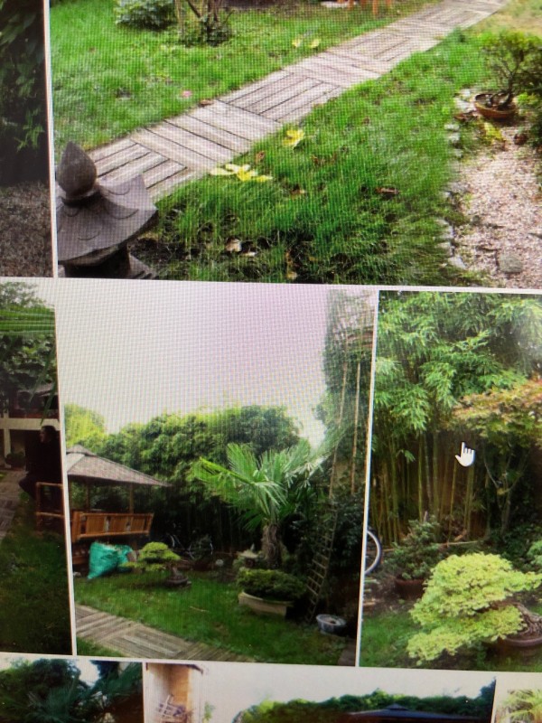 Faire appel à un paysagiste pour rénovation et aménagement de jardin à Villenave d’Ornon