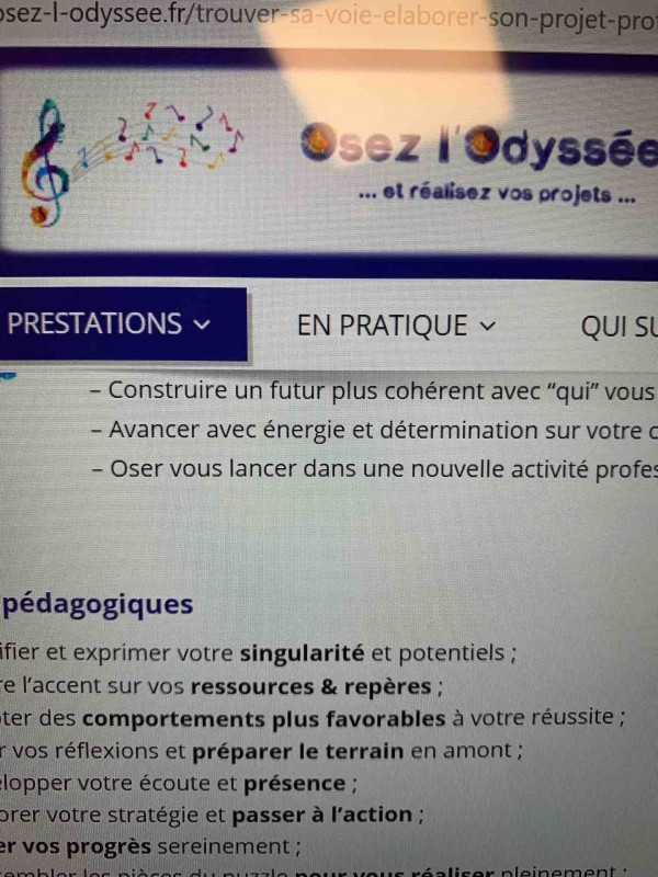 Trouver un coach pour Booster et sa recherche d’emploi à Bordeaux centre   Bordeaux centre  Osez L’odyssée