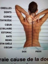 Trouver un ostéopathe pour mal de dos à bordeaux pey berlan