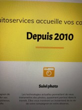 Trouver une pension pour chiens à Bordeaux