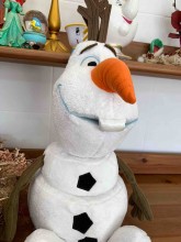  Acheter une bûche de Noël sans gluten à Talence quartier Saint Genes