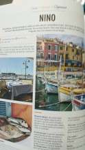 restaurant bord du port cassis centre-ville restaurant Nino