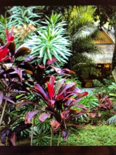 Trouver un paysagiste pour la conception et la création d’un jardin exotique à Bordeaux