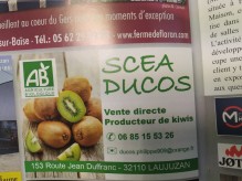 Acheter des kiwis bio directement au producteur à Laujuzan (Gers 32)