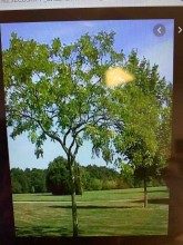 entreprise pour entretien parcs et jardins à Latresne Latresne Sébastien Durels