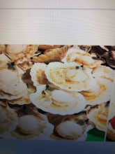 Trouver un restaurant ouvert en service continue et avec terrasse dans bordeaux centre ville