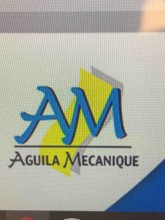 entreprise qui fabrique des micros pieux pour fondations spéciales en Aquitaine   aquitaine  AGUILA MECANIQUE