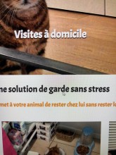 Trouver un professionnel pour des visites à domicile pour chien ou chat à Bordeaux