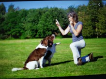 Trouver un éducateur canin à domicile spécialisé dans les gros chiens à Toulouse et les gros chats
